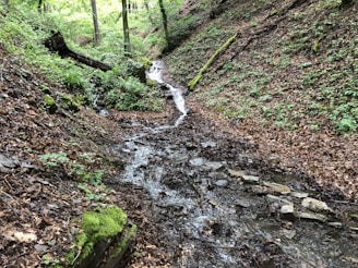time lapse photography of river