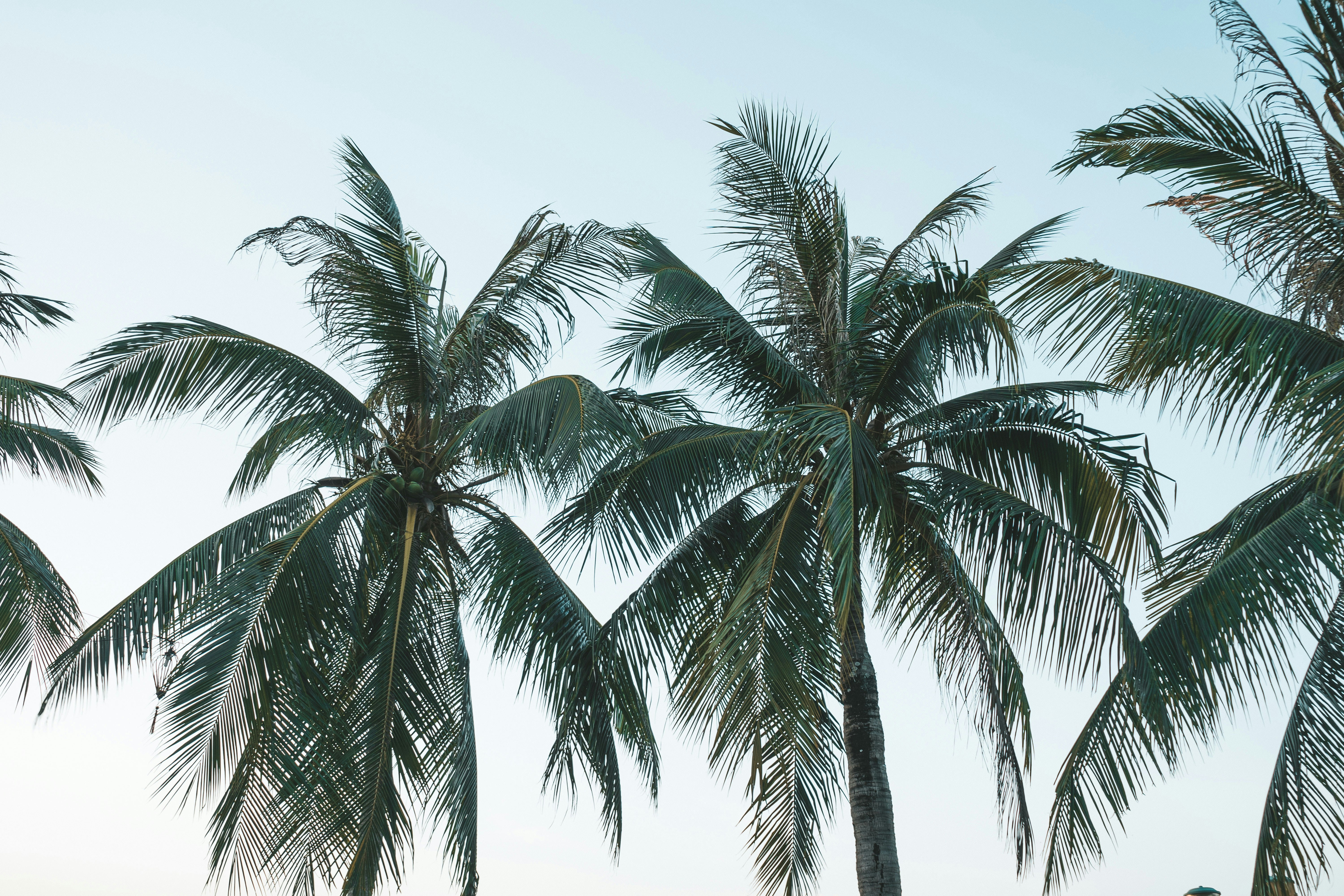 Photo by nicolasjleclercq