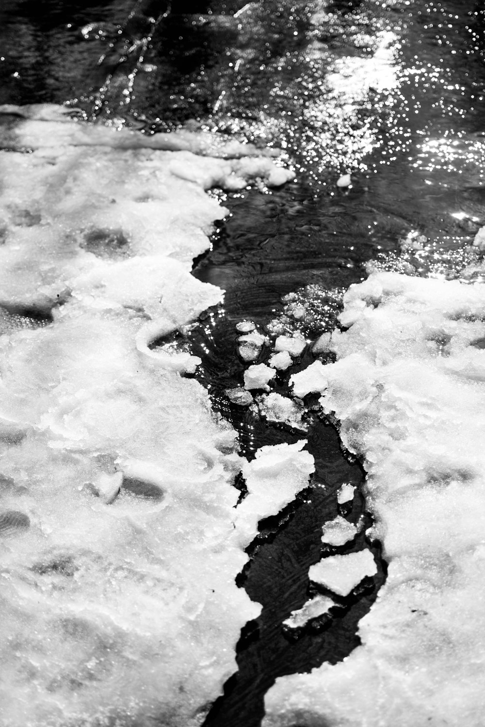 fotografia in scala di grigi della neve