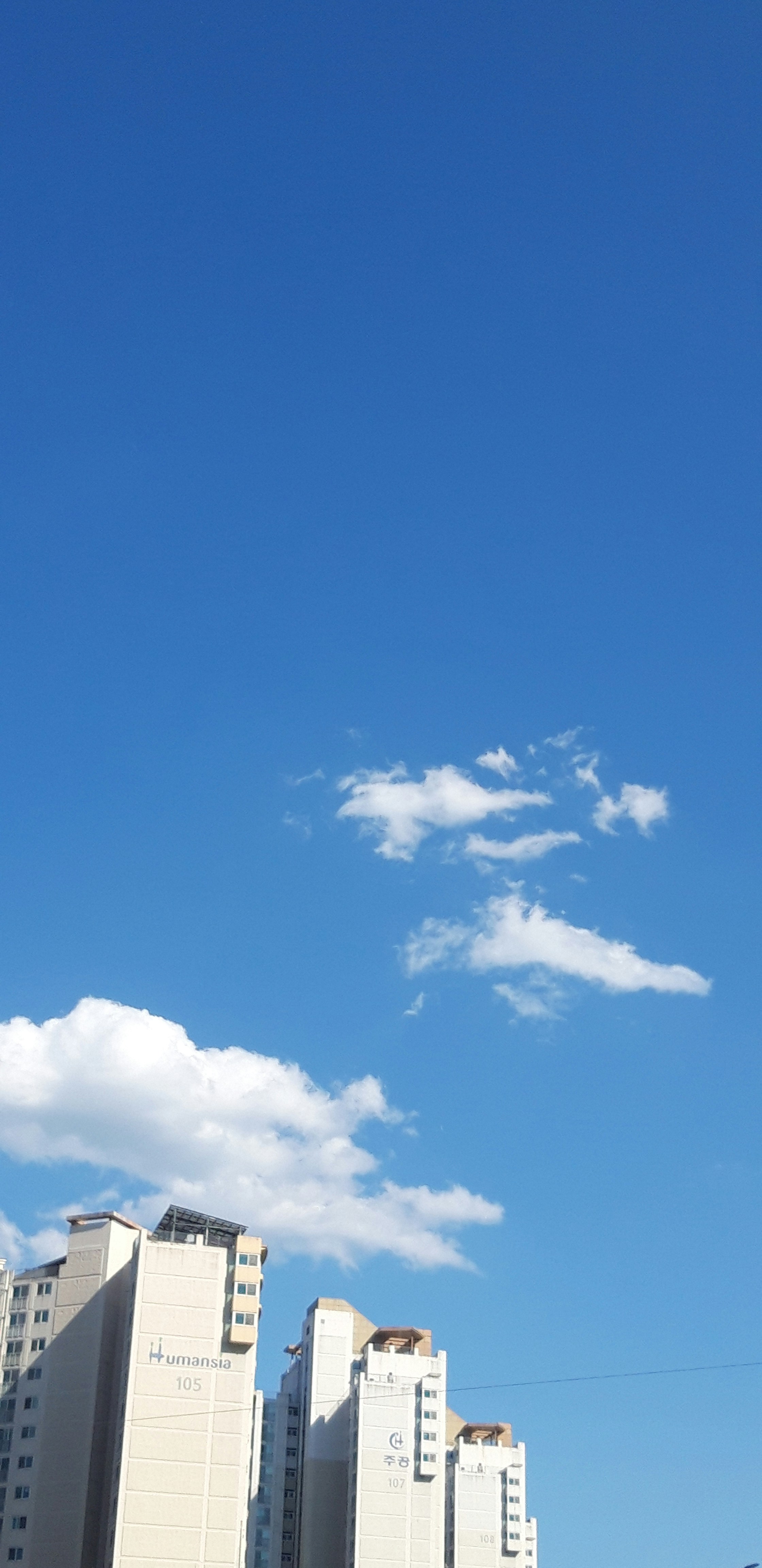 Photo by parkyoungju