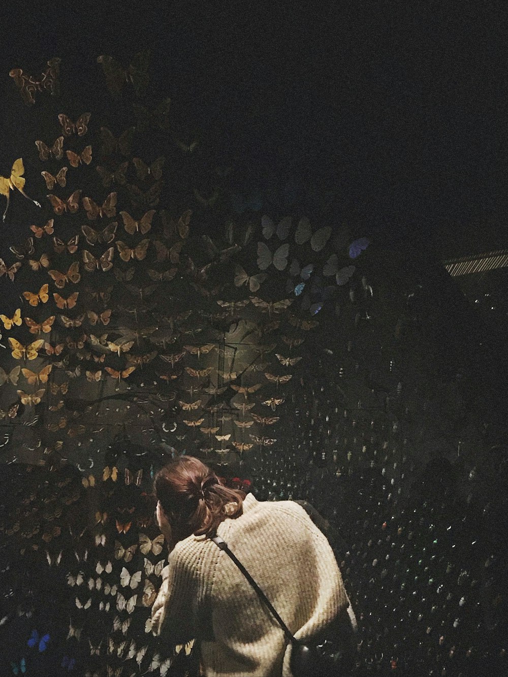 a woman standing in front of a wall of butterflies