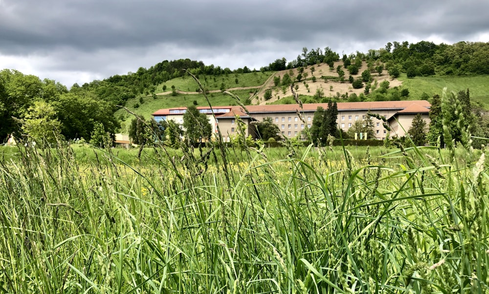 view of beige concrete building from grass field