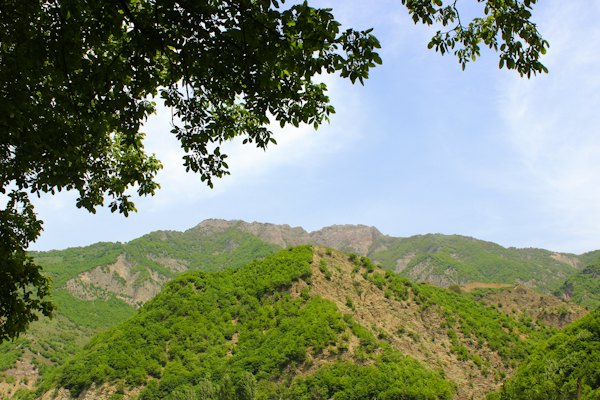 Tree cover mountain — Lahij, Azerbaijan