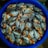 A large blue container filled with numerous silver and orange fish, likely freshly caught. The fish are neatly arranged, showcasing their shiny scales and vibrant colors.