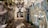 A group of pigeons is flying through an urban alleyway, lined with walls covered in colorful graffiti and street art. The alley is narrow with trees slightly overhanging. The graffiti features various designs and tags, adding a vibrant background to the scene.