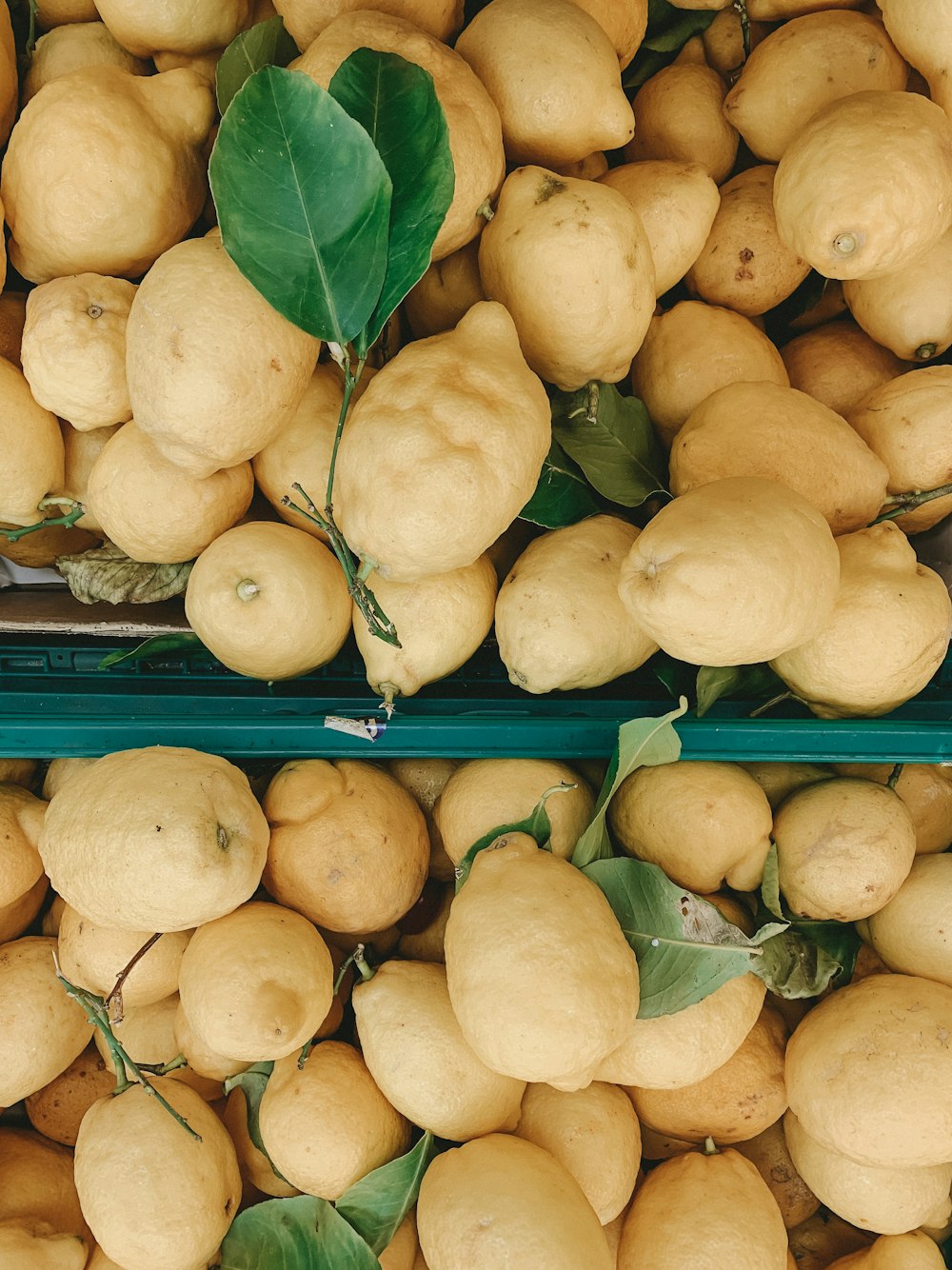 Foto de primer plano de frutas amarillas