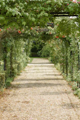 concrete pathway in flower garden with no people