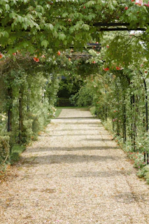 concrete pathway in flower garden with no people