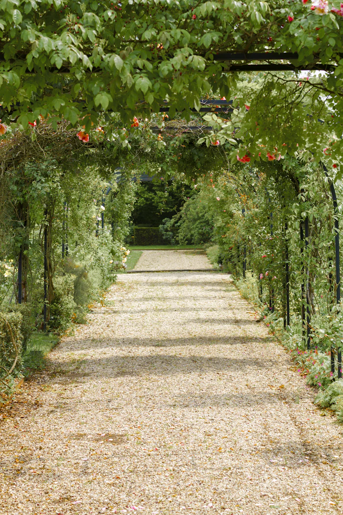 Walkways & Paths in McKinney, TX