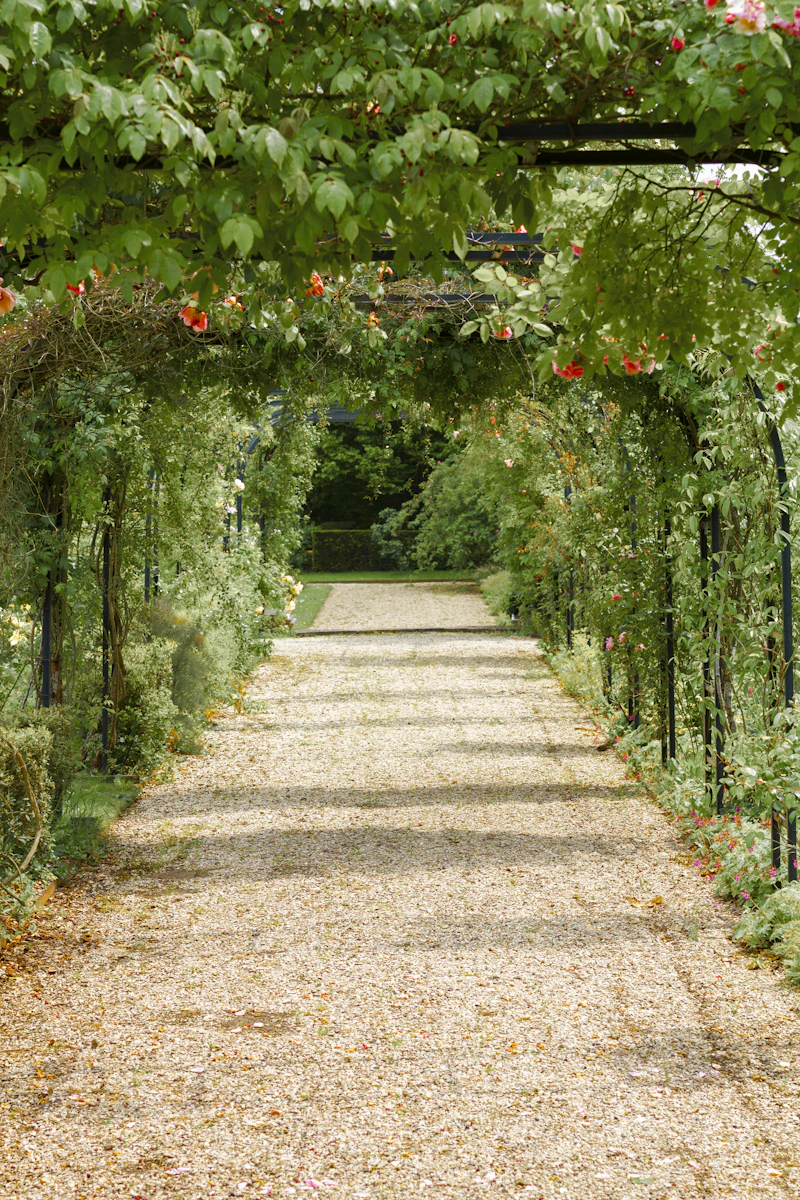 Representative gardening and outdoor care