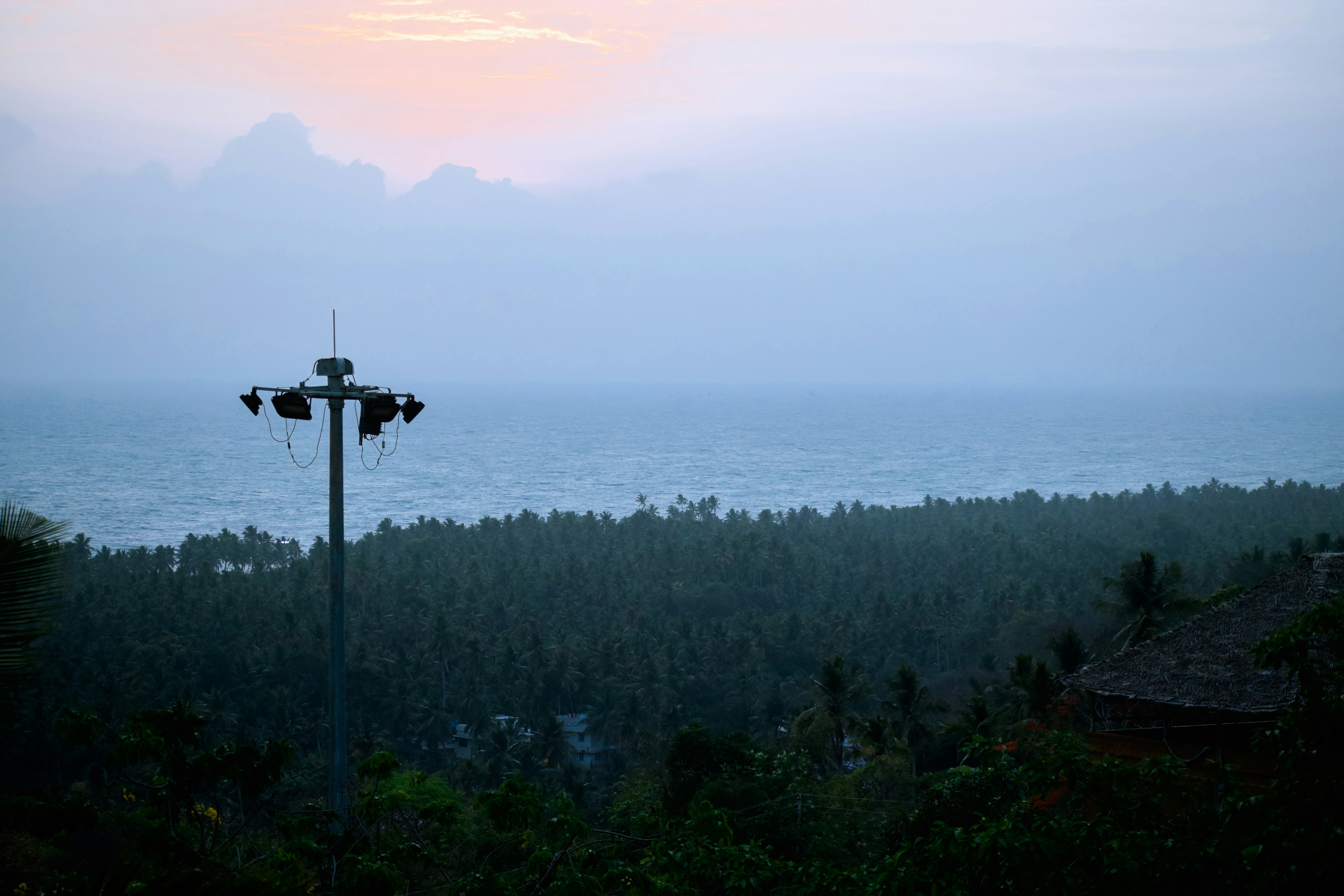 green tree covered beach with light tower