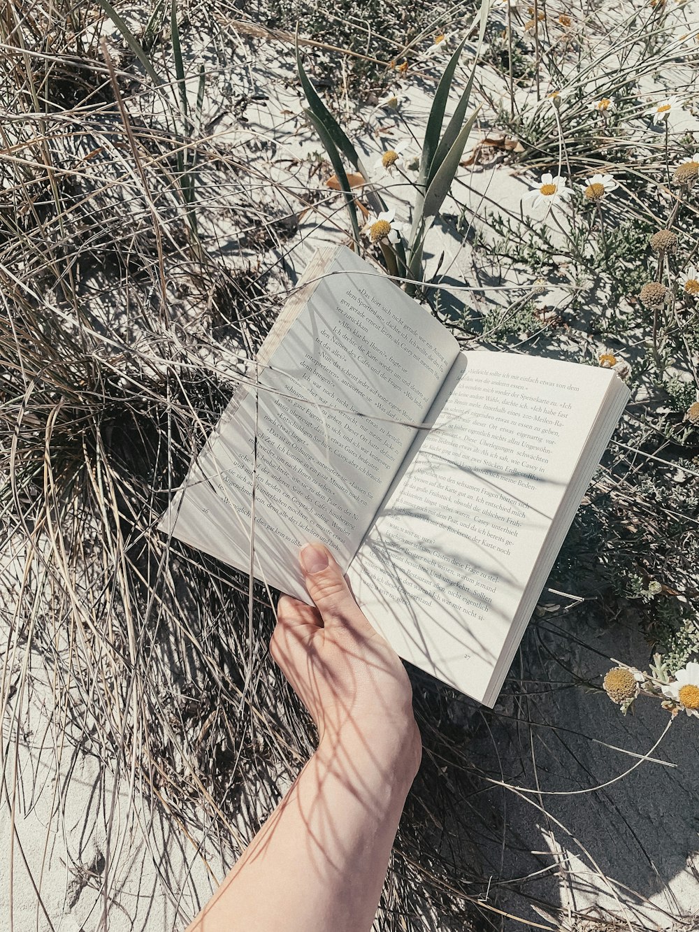 open book near green plant