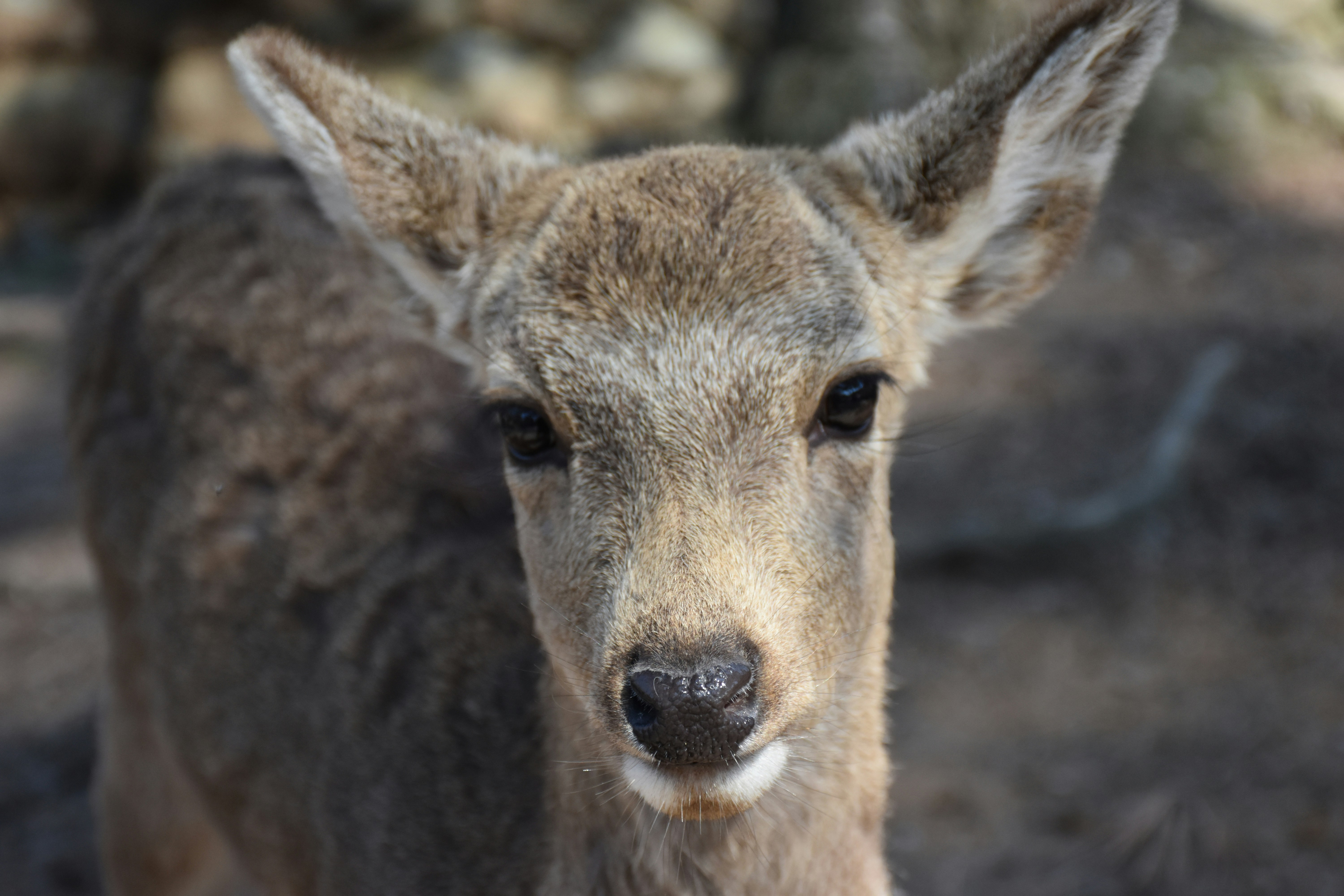 Photo by friendlypeople