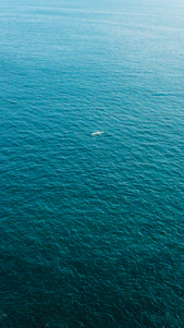 white boat in blue sea