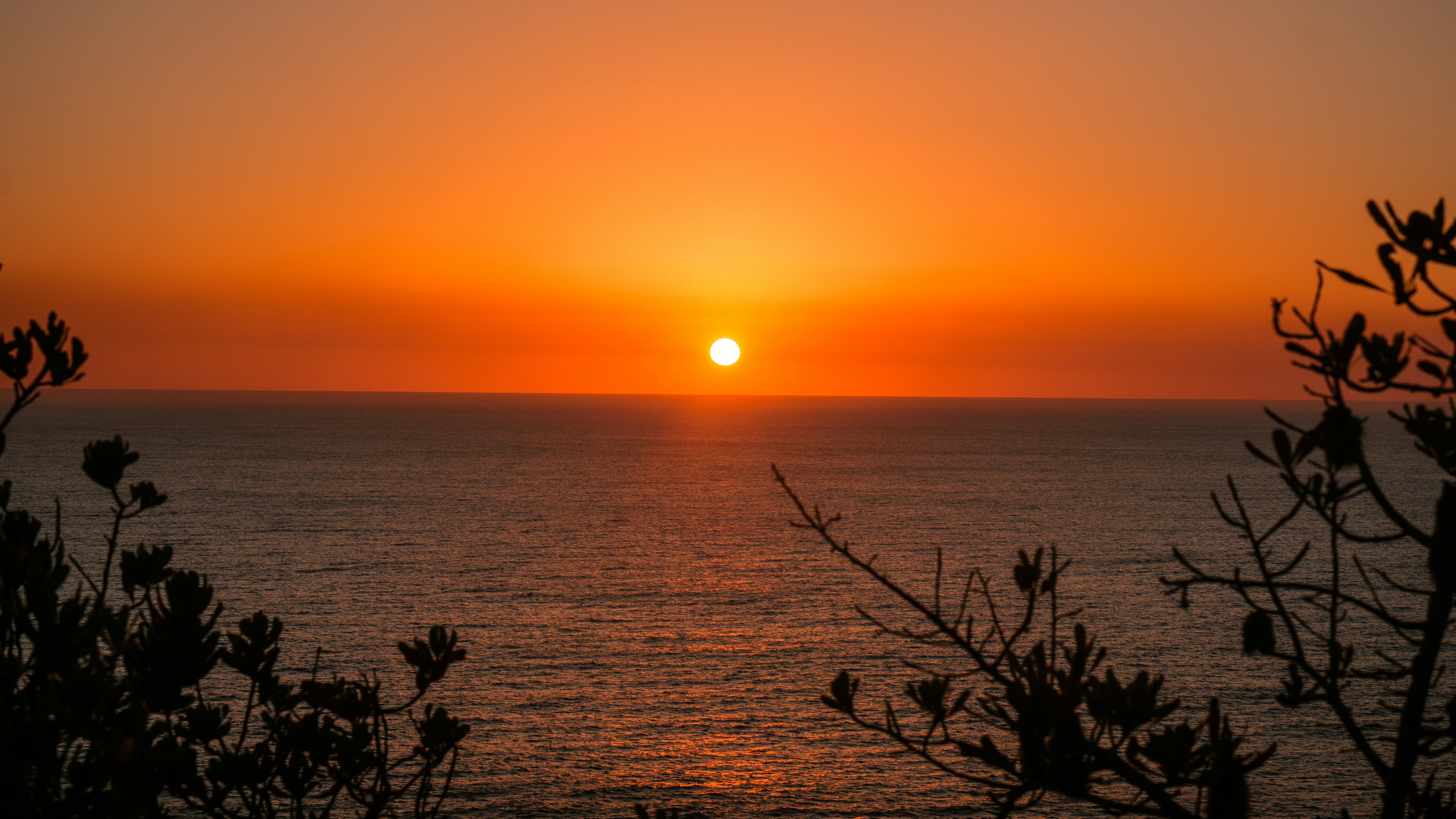 Photo by elmercanasjr