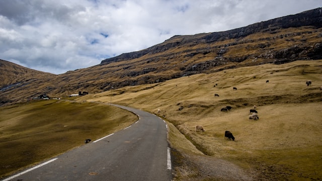 Faroe Islands