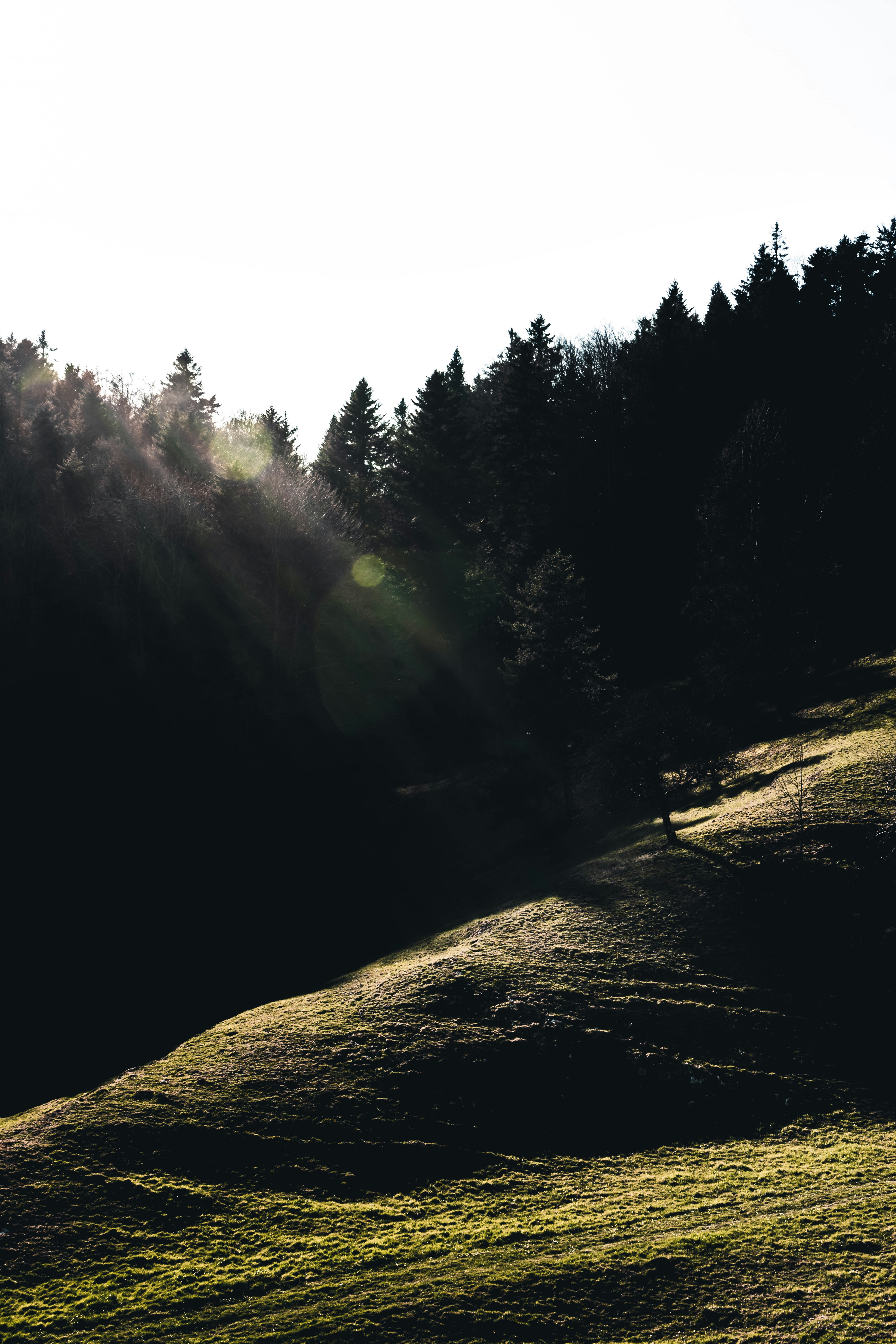 Photo by virussinside