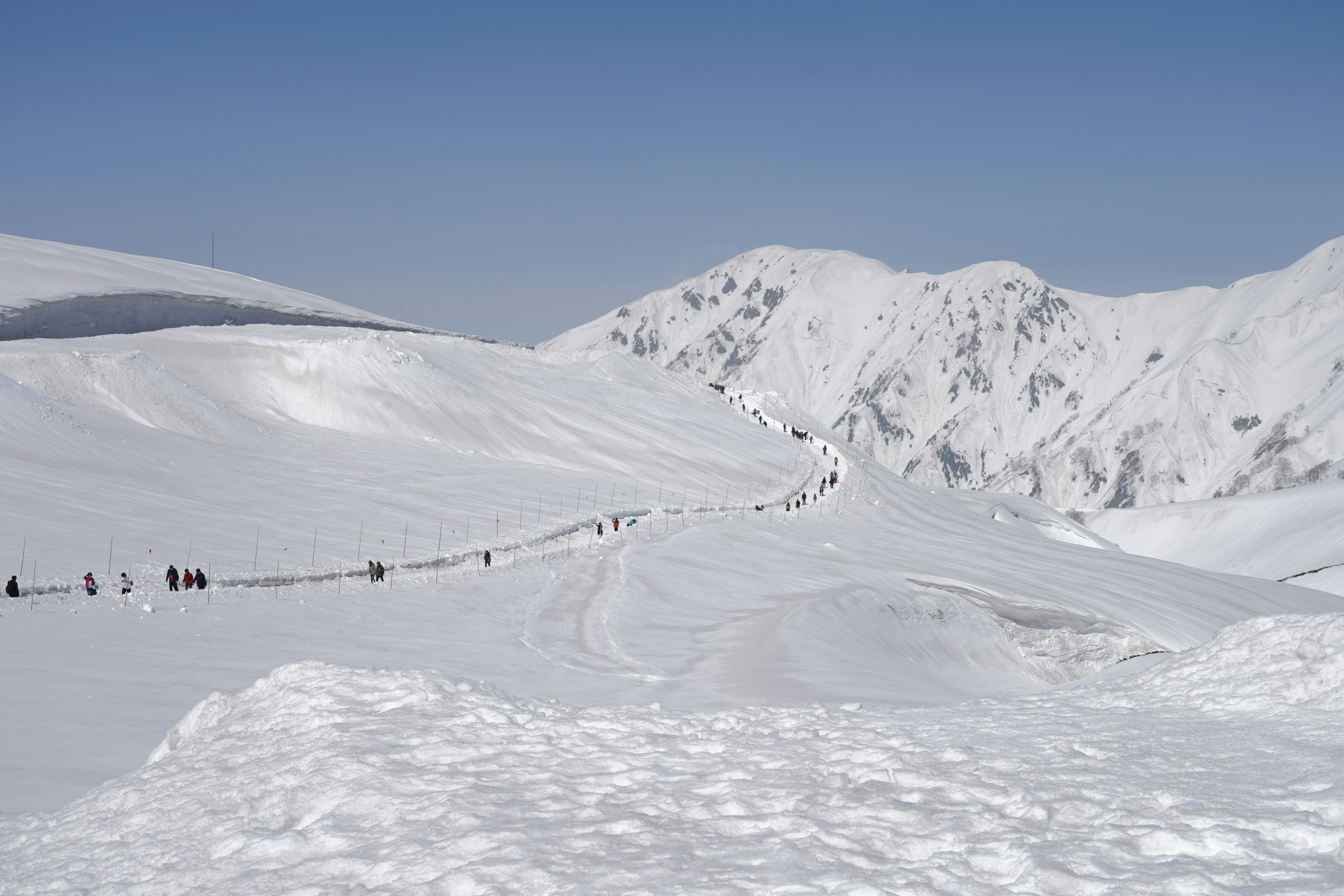 Photo by gulatineeta