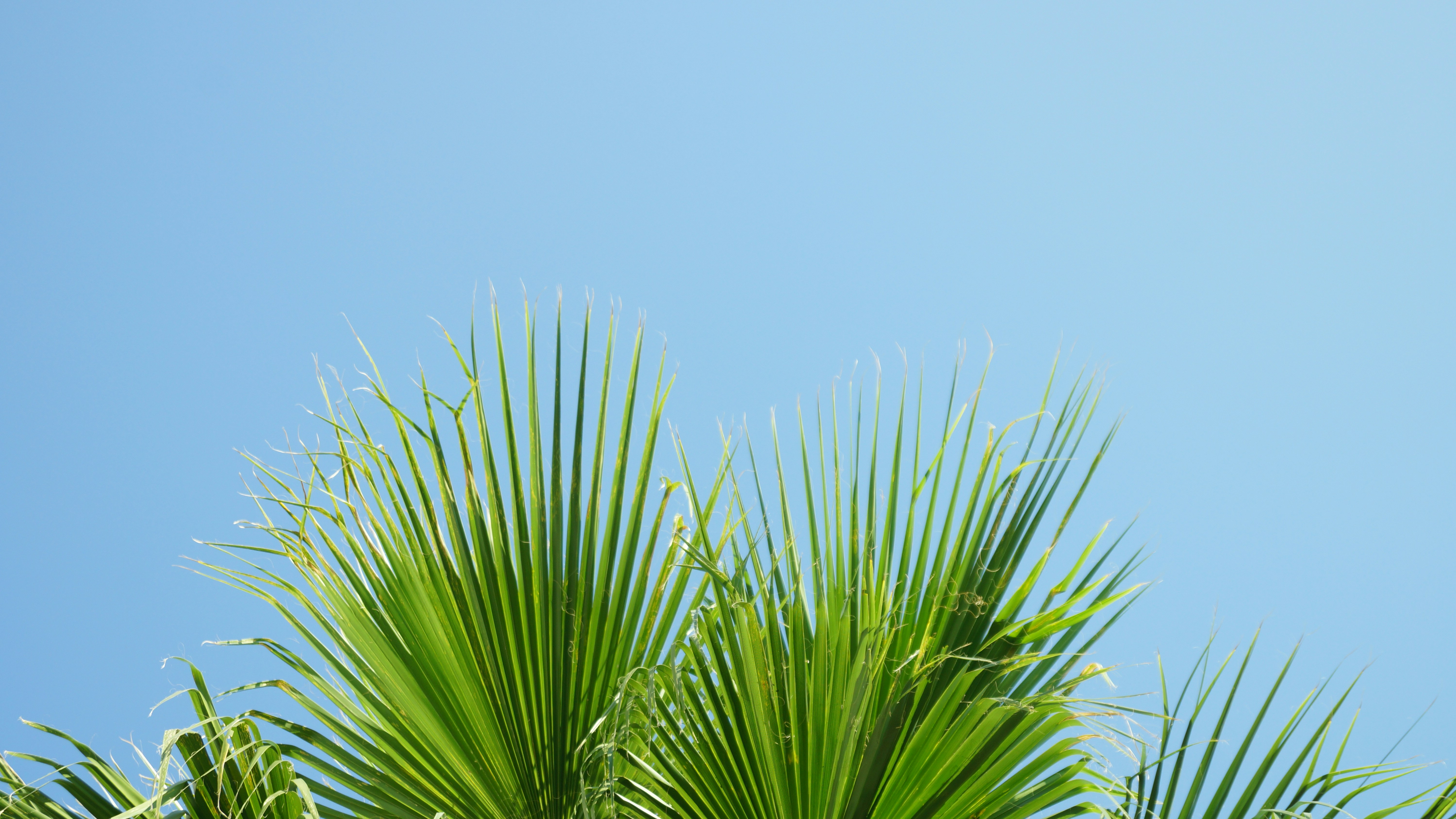 Photo by jennieralstuff