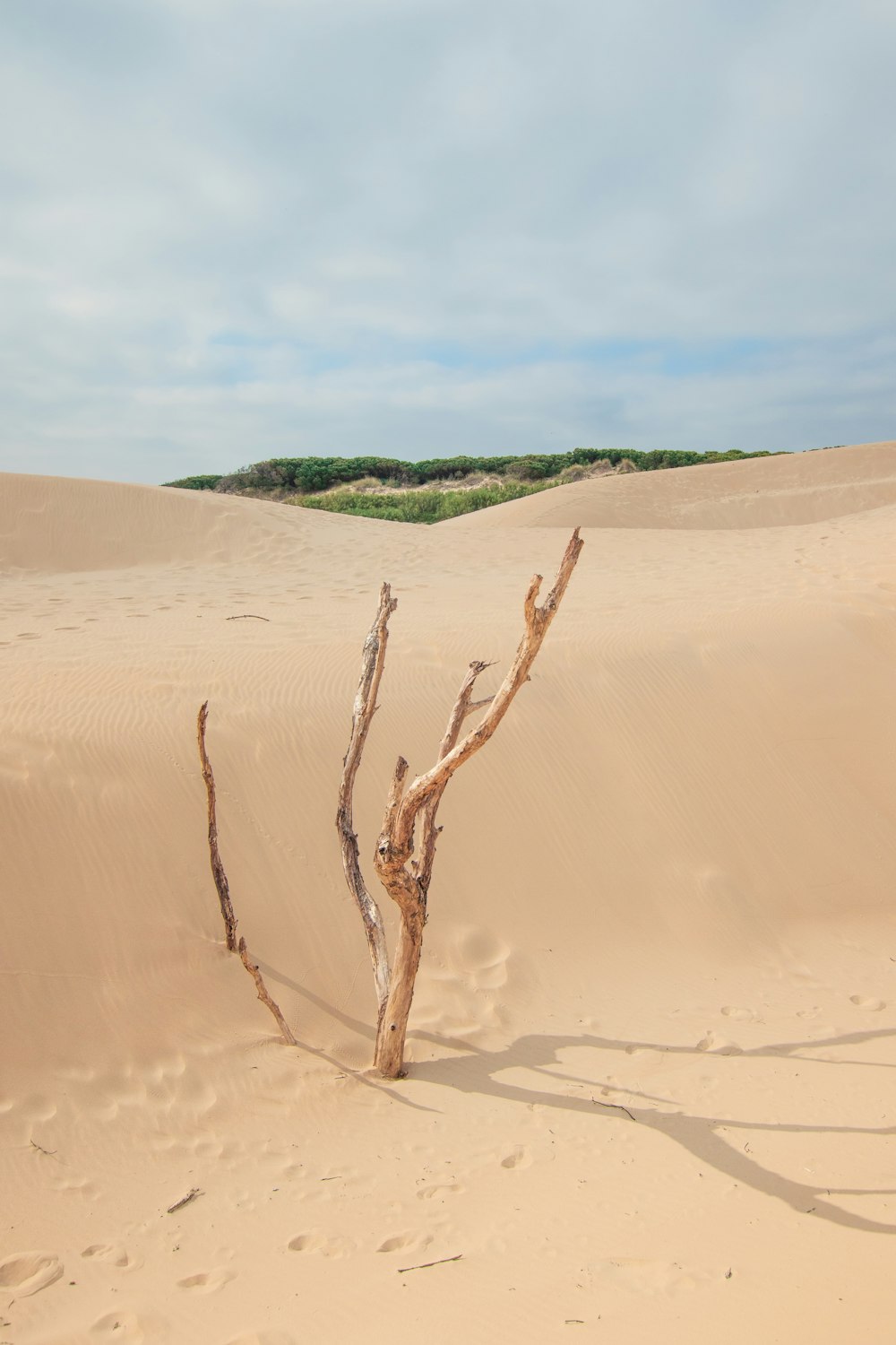 view of desert