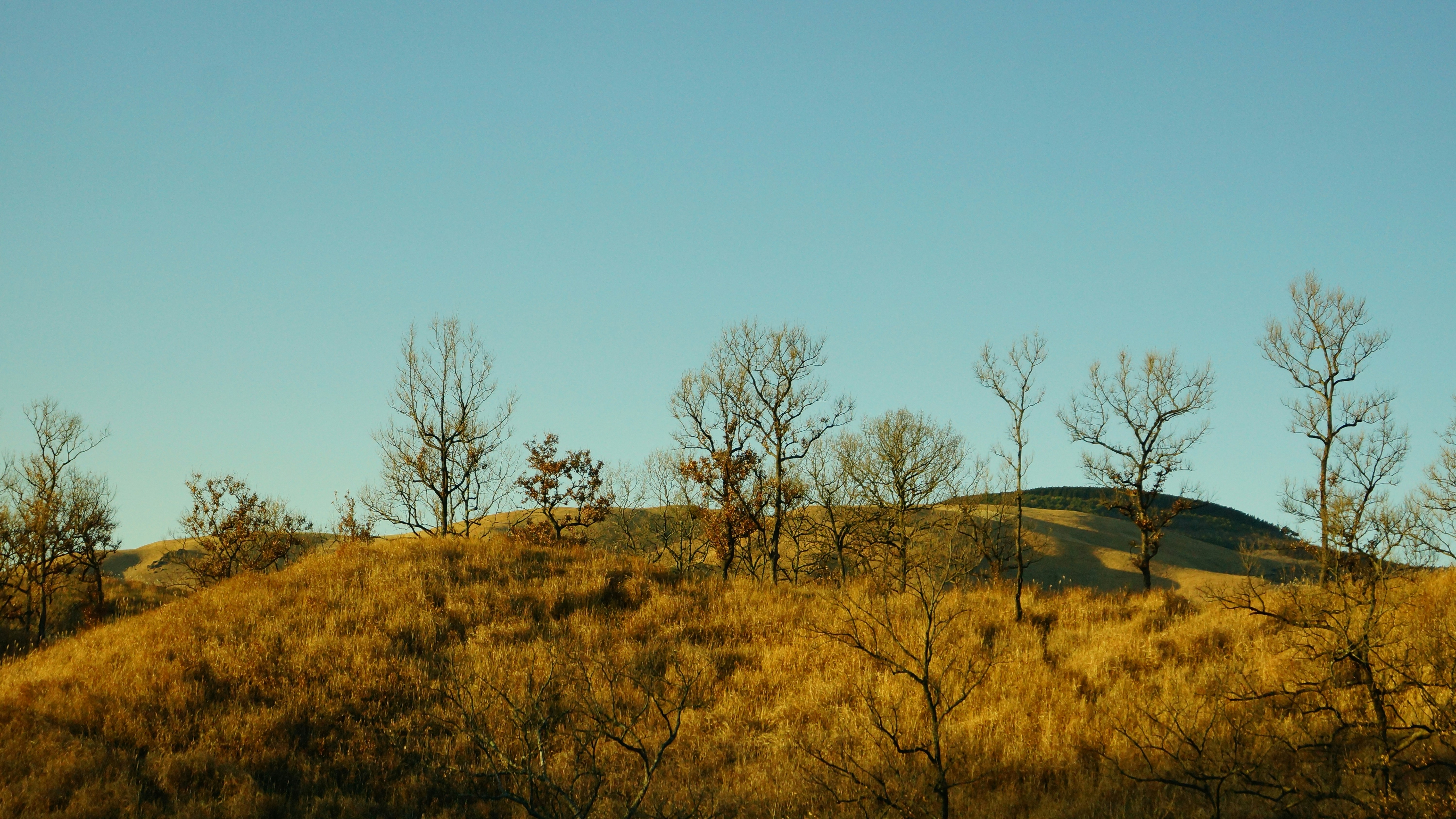 Photo by jennieralstuff