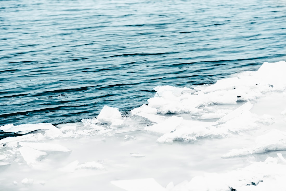 Brzeg z krą lodową