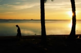 A peaceful beach scene at sunset reflecting the calm and sacred atmosphere of holisticcaribbean