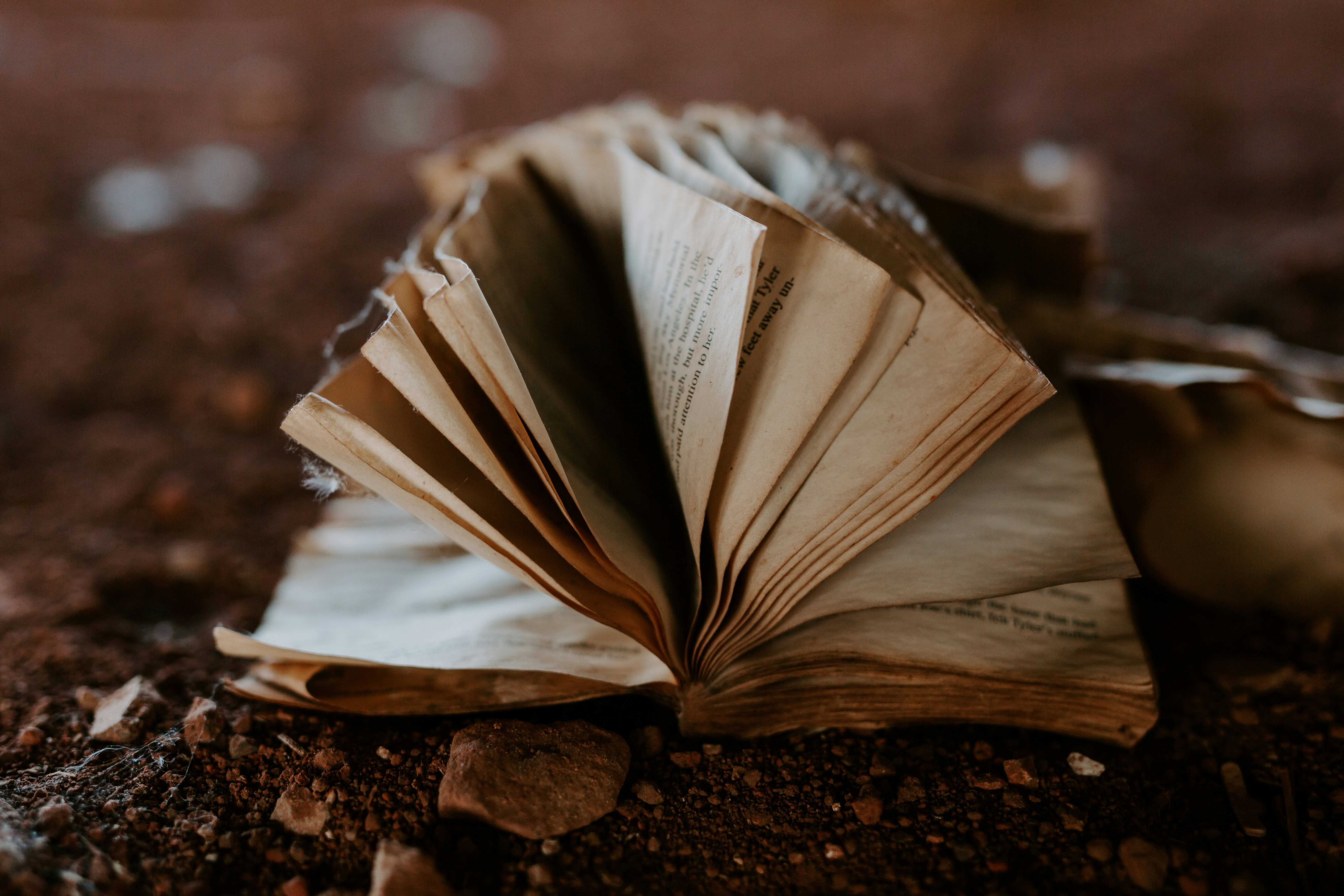 book on rocks