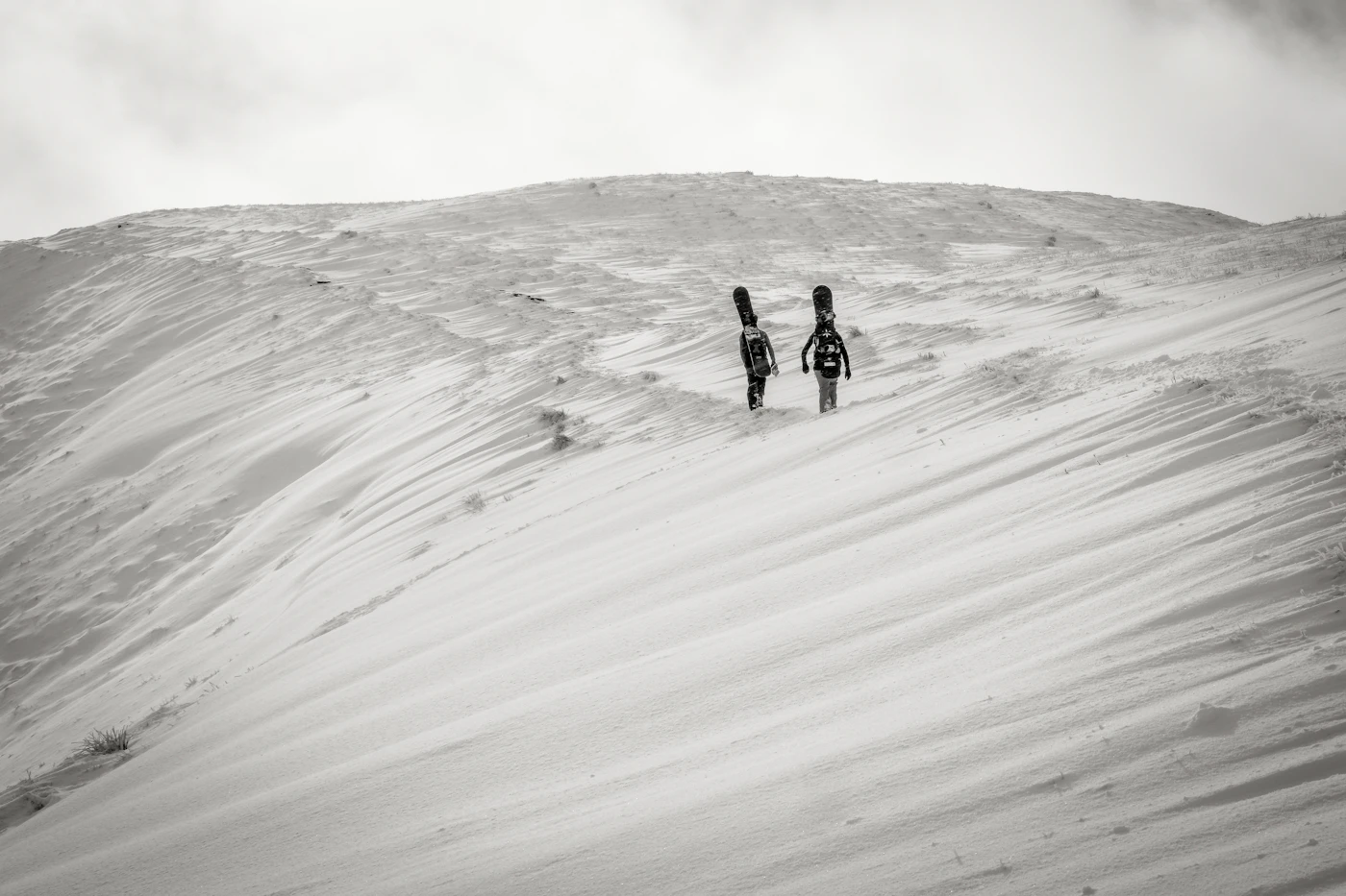 Guided trips