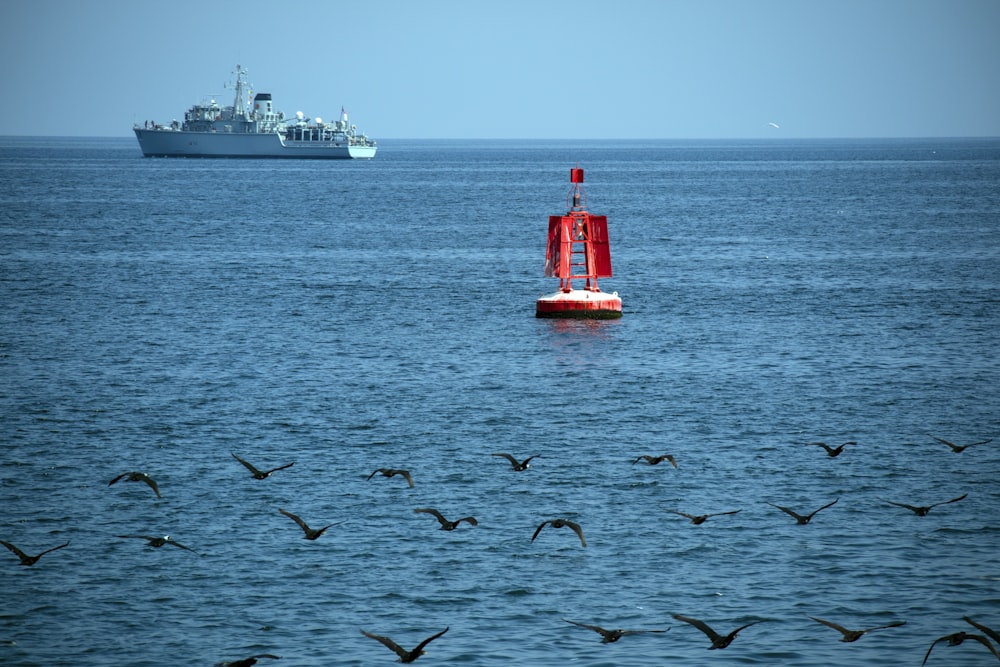 birds flying near body of water during daytime