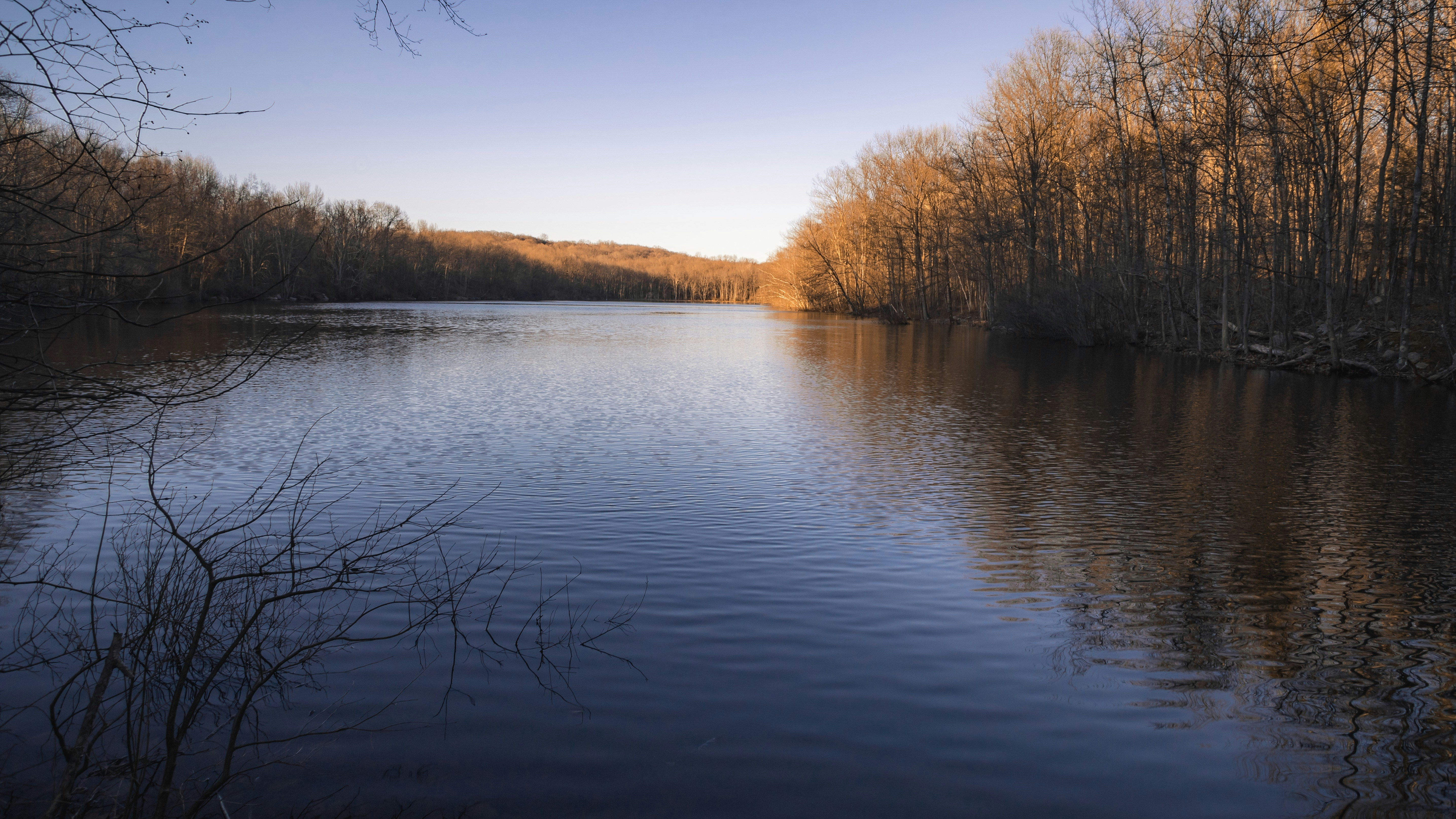 Photo by rareyesphoto