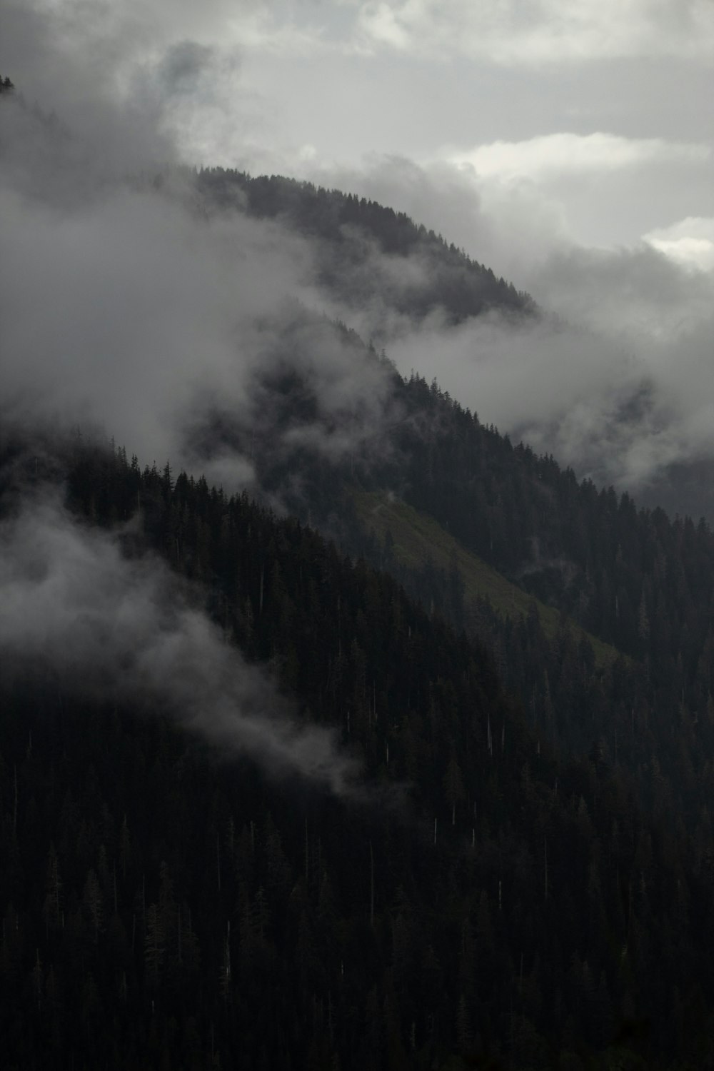 foggy mountains