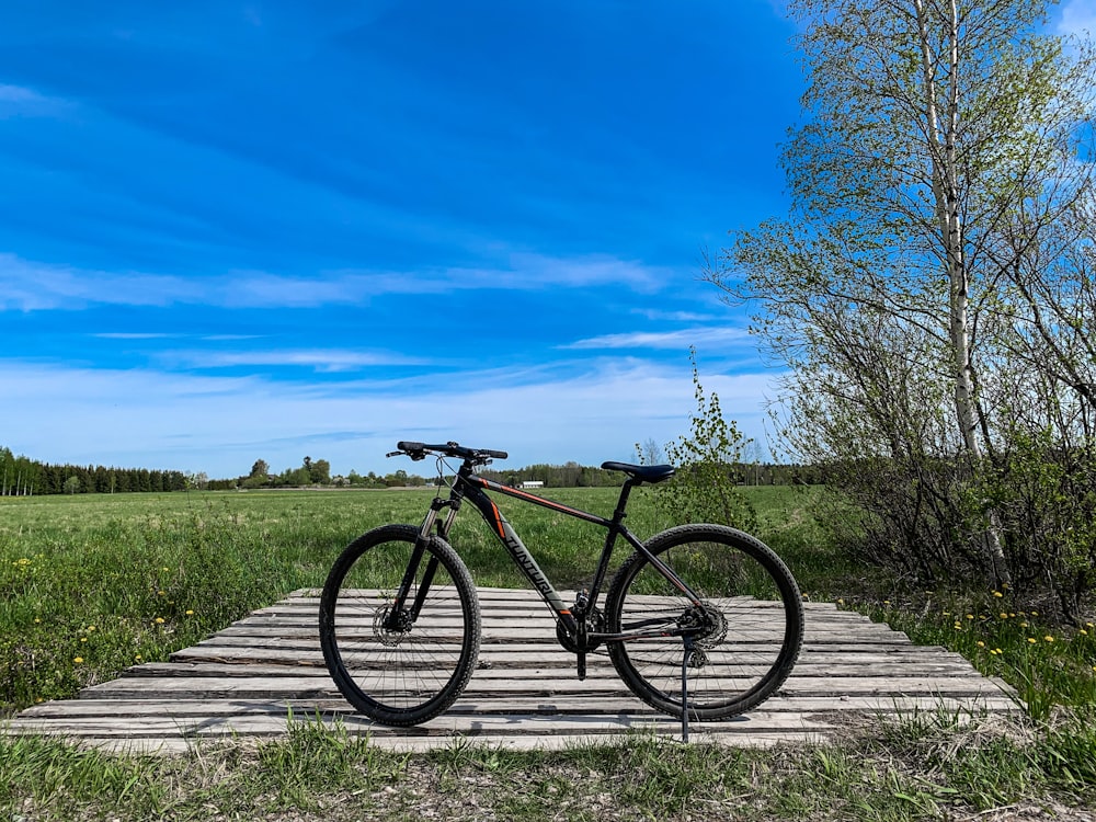 black bicycle parked near trees