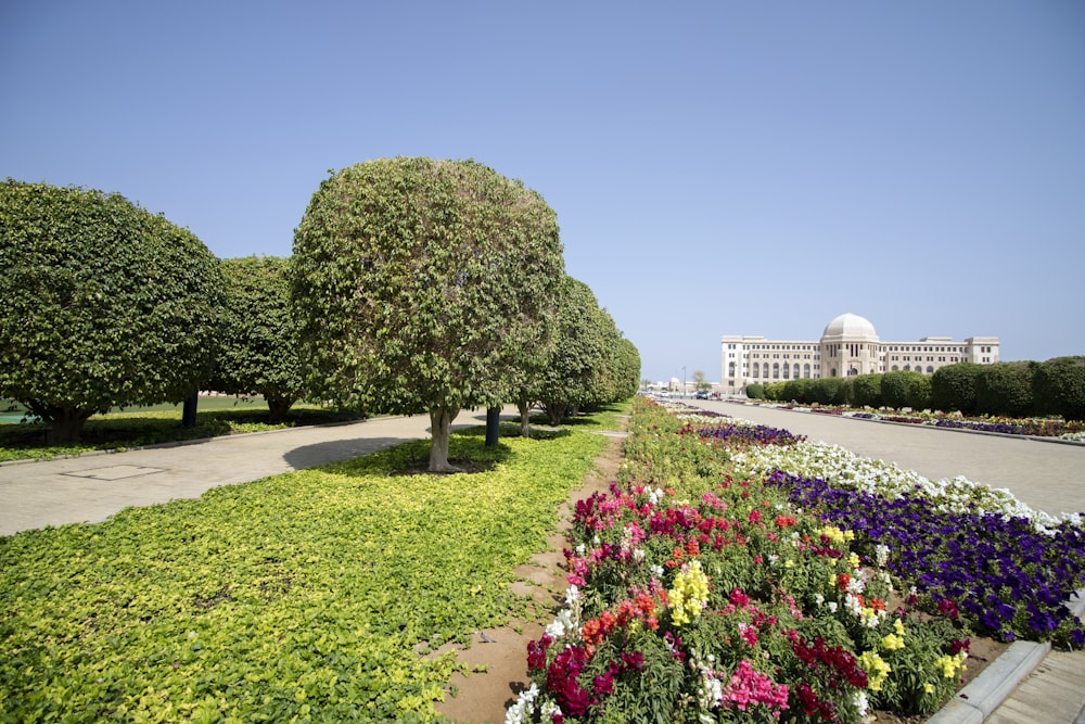 green trees