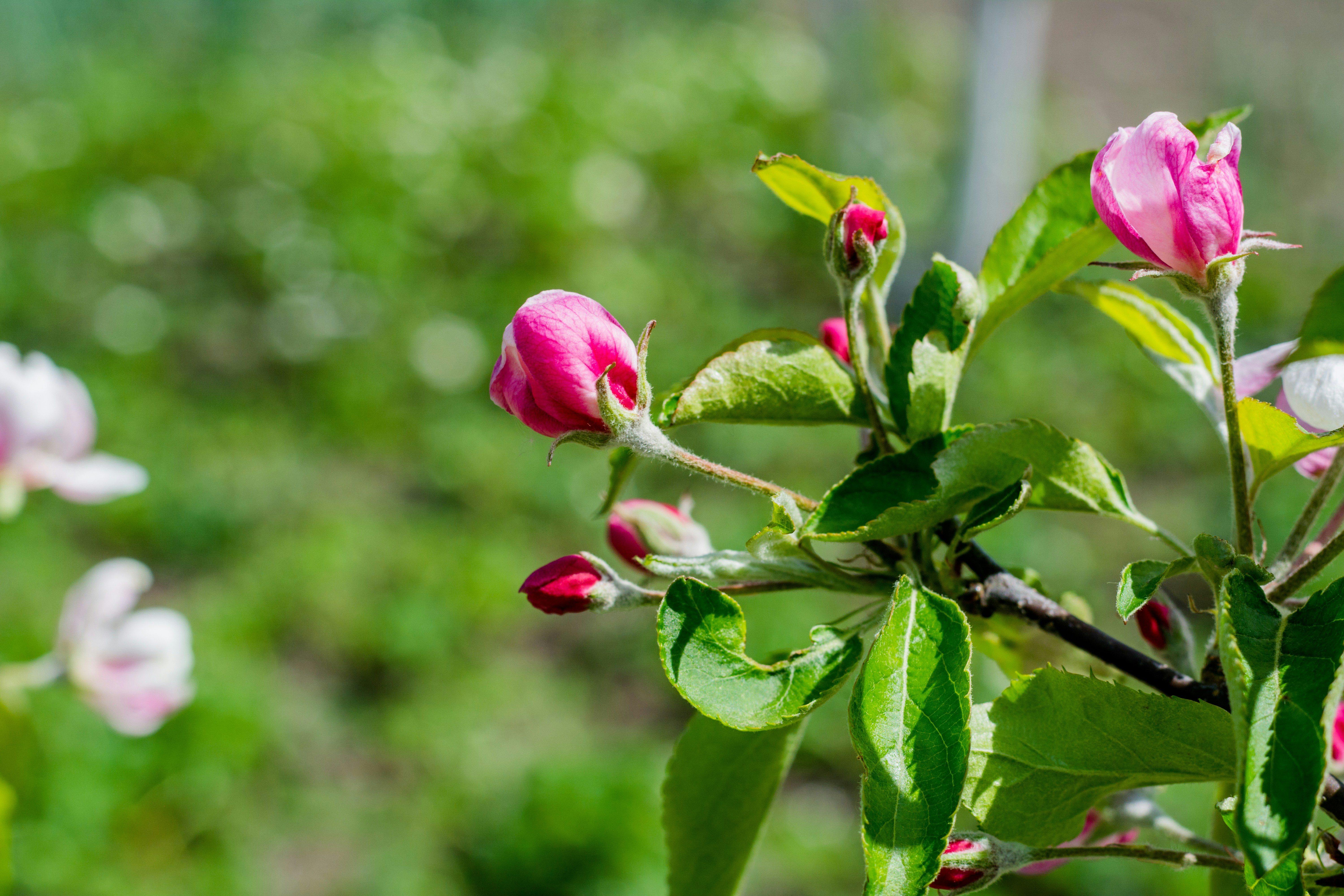 Photo by eugenivy_now