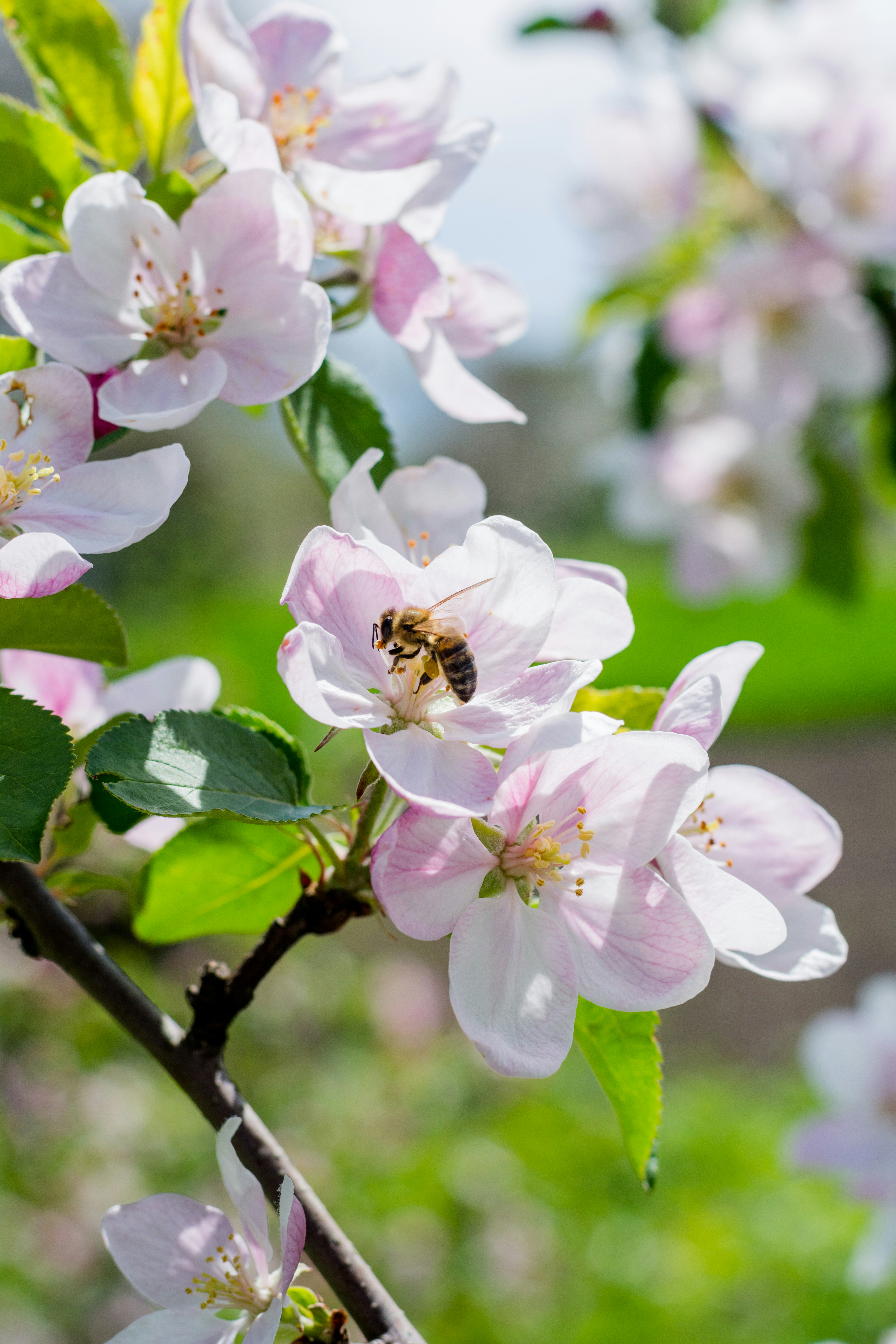 Photo by eugenivy_now