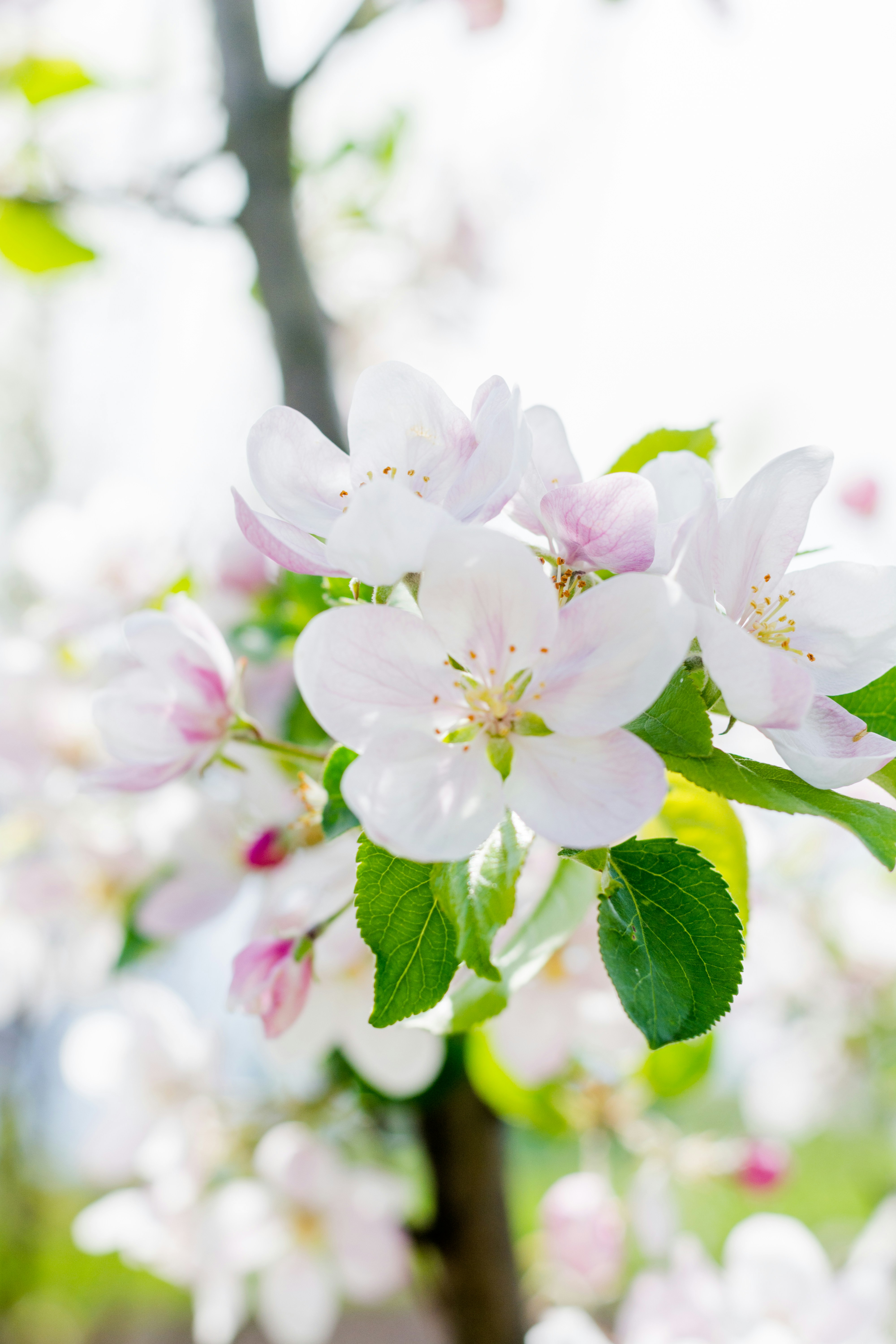 Photo by eugenivy_now