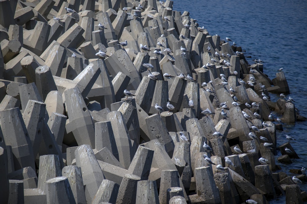 grey bricks near body of water