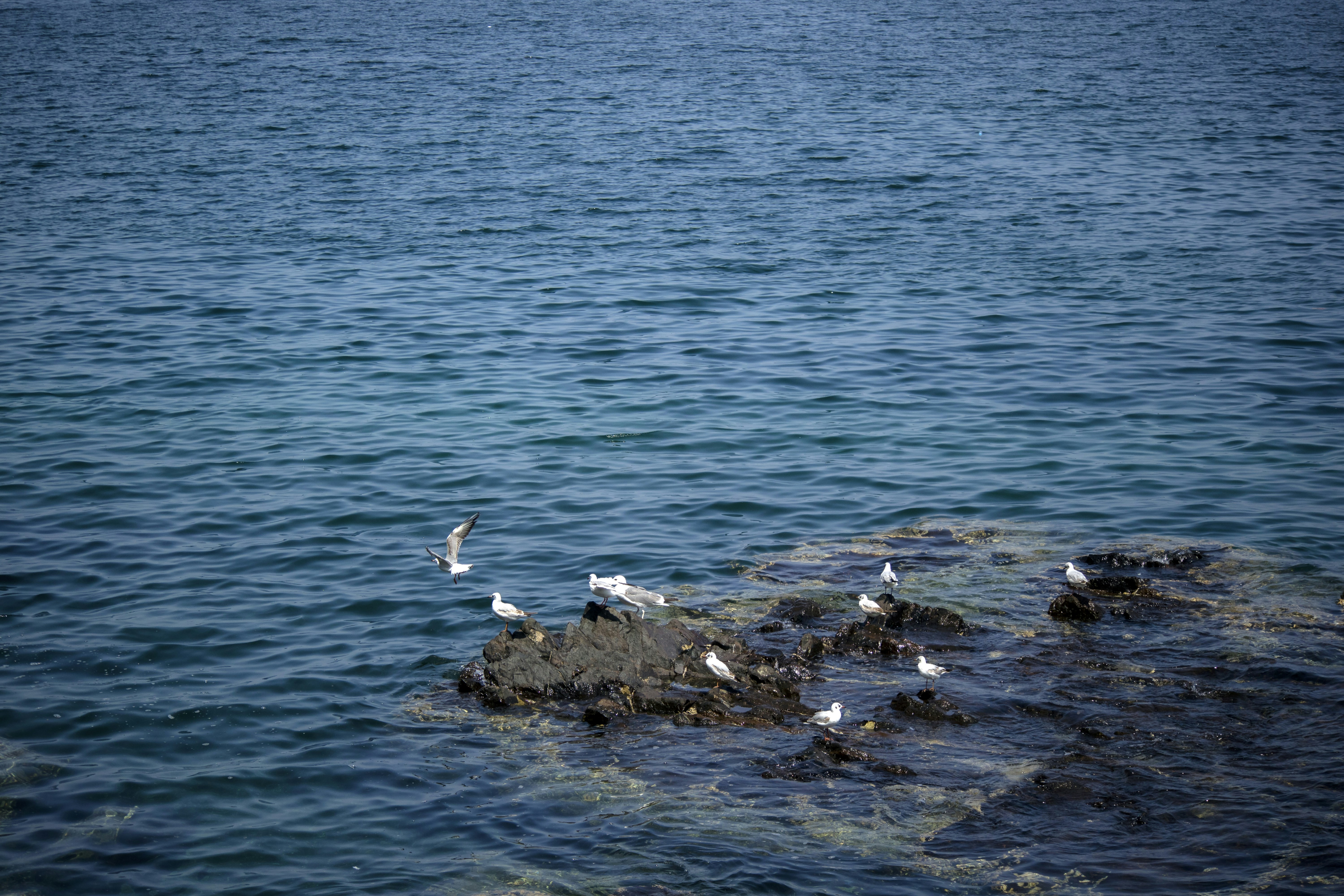 Photo by mostafa_meraji