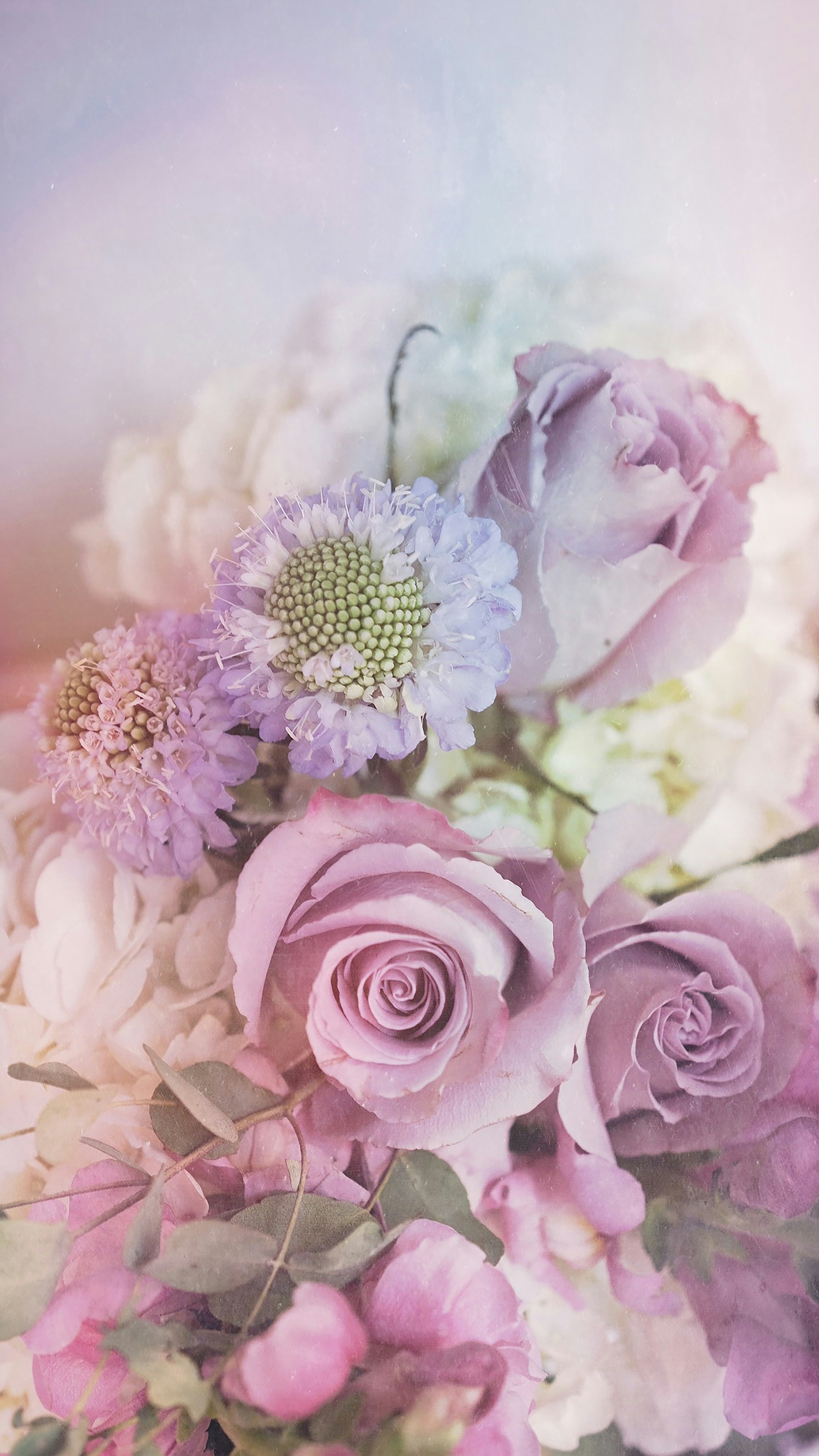 Photo by chelseaaudibert