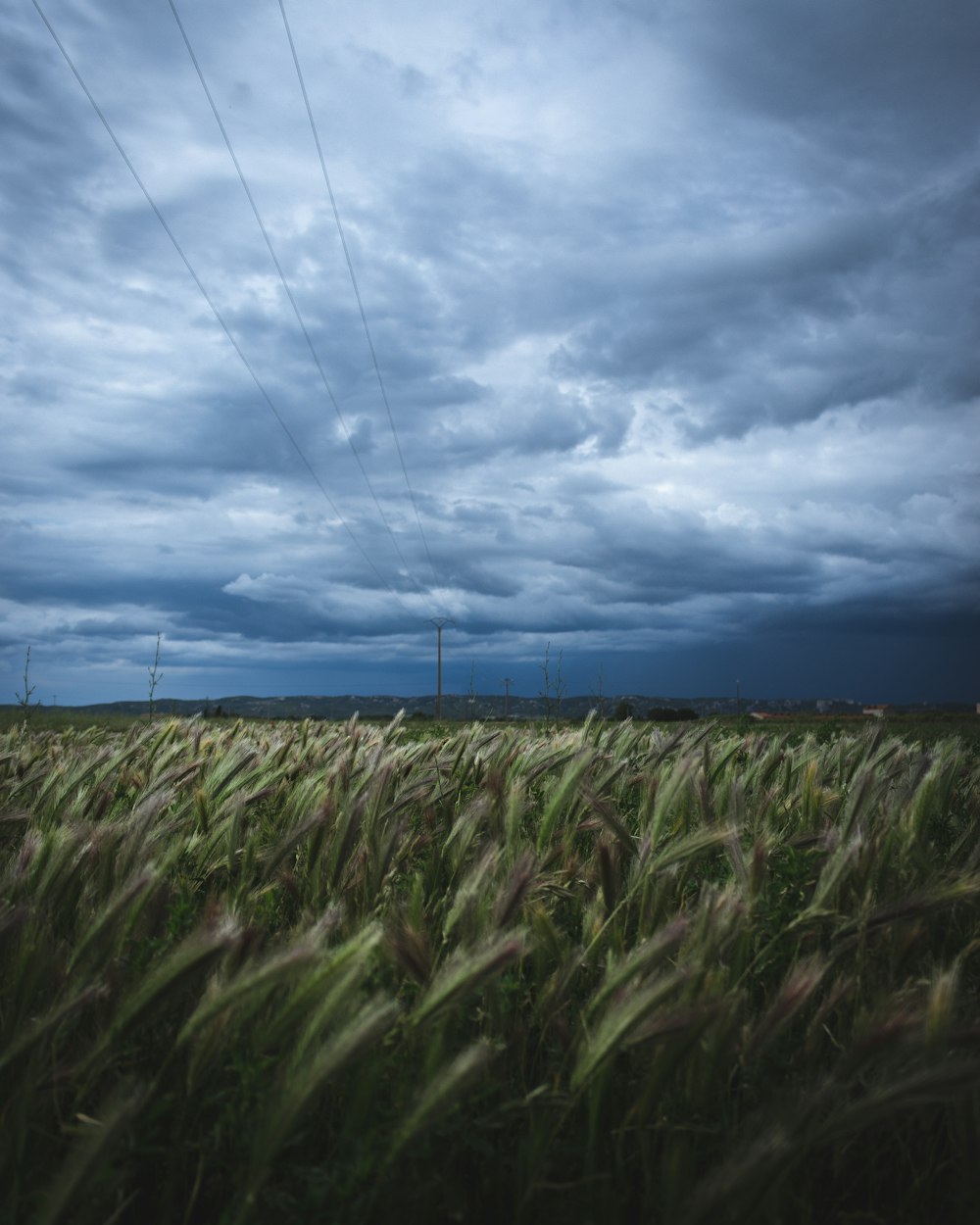 green field