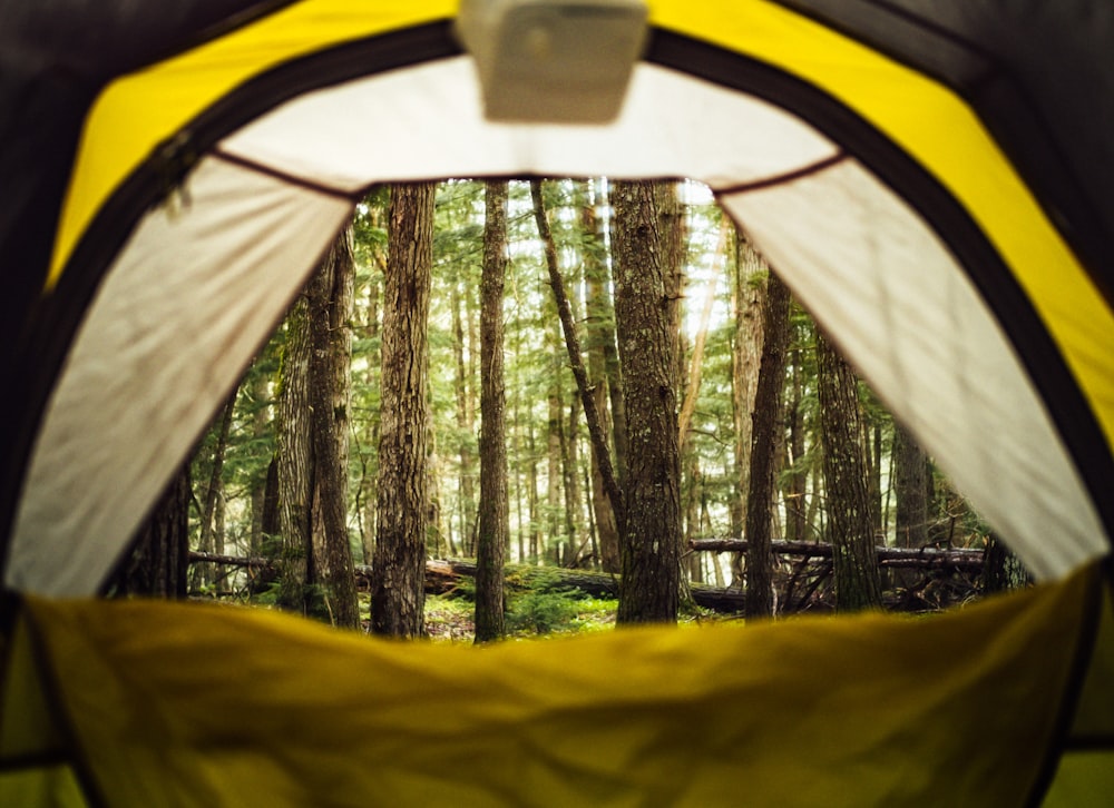 yellow tent