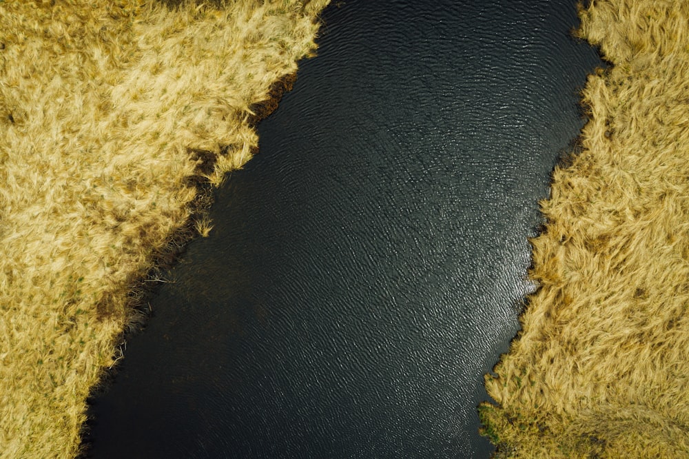river surrounded by brown grass