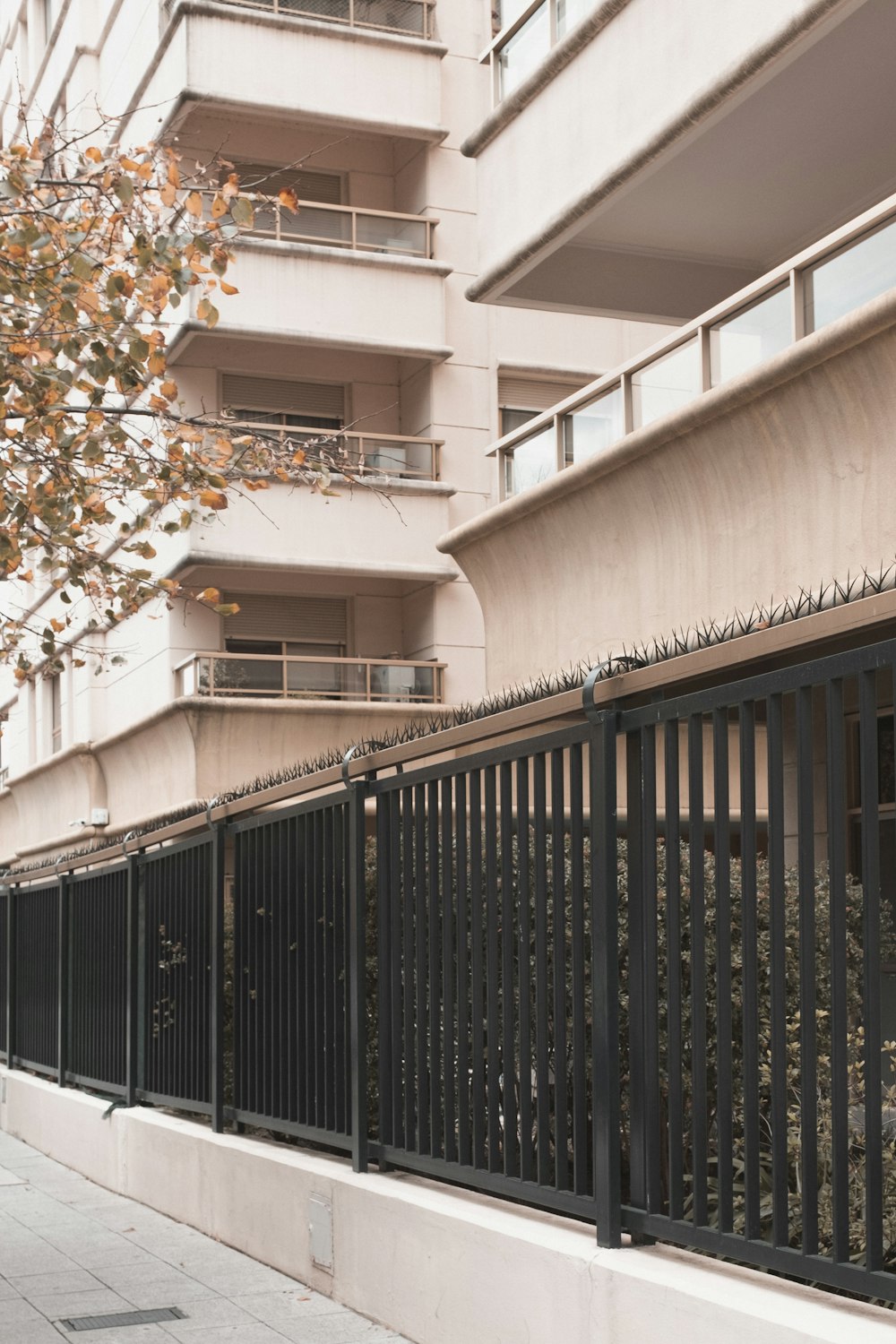 white concrete building