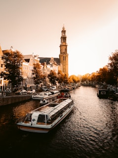 white and brown boat