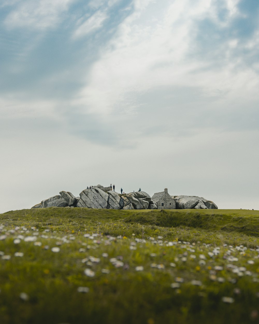 a group of people standing on top of a lush green field