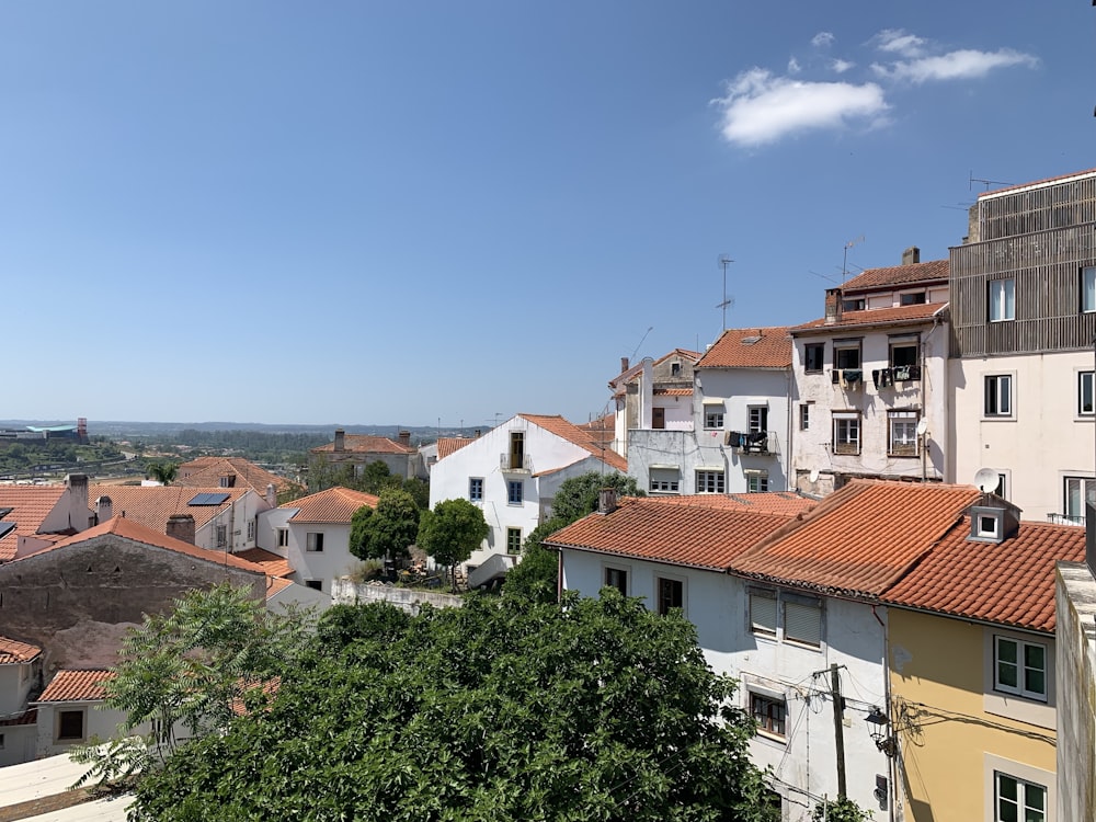 orange roof houses and buildings