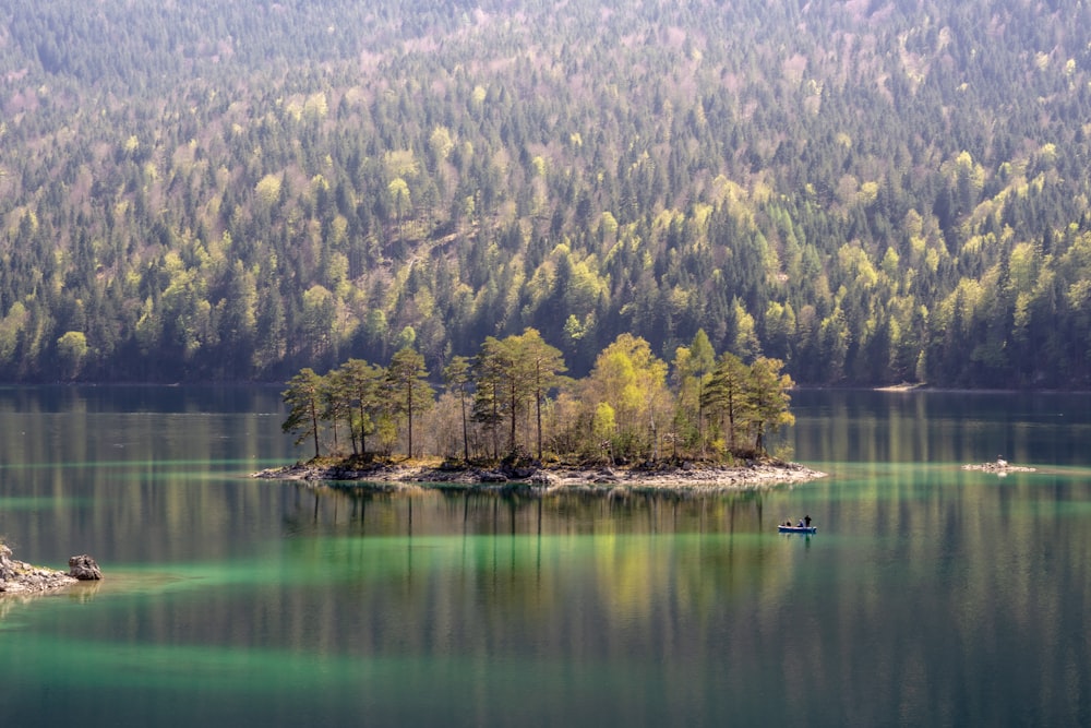 body of water surrounded with trees at daytime