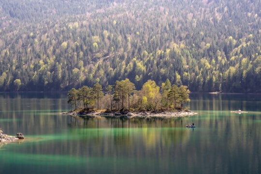 body of water surrounded with trees at daytime in Eibsee Germany