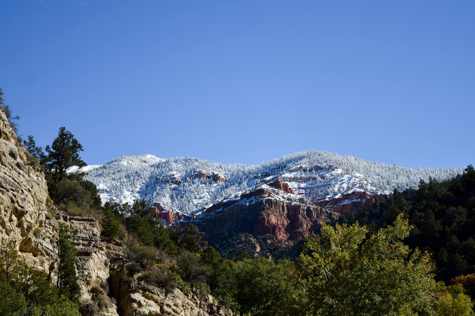 Cedar City